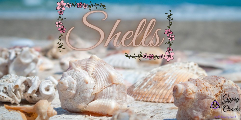 Shells